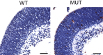 Figure 10.