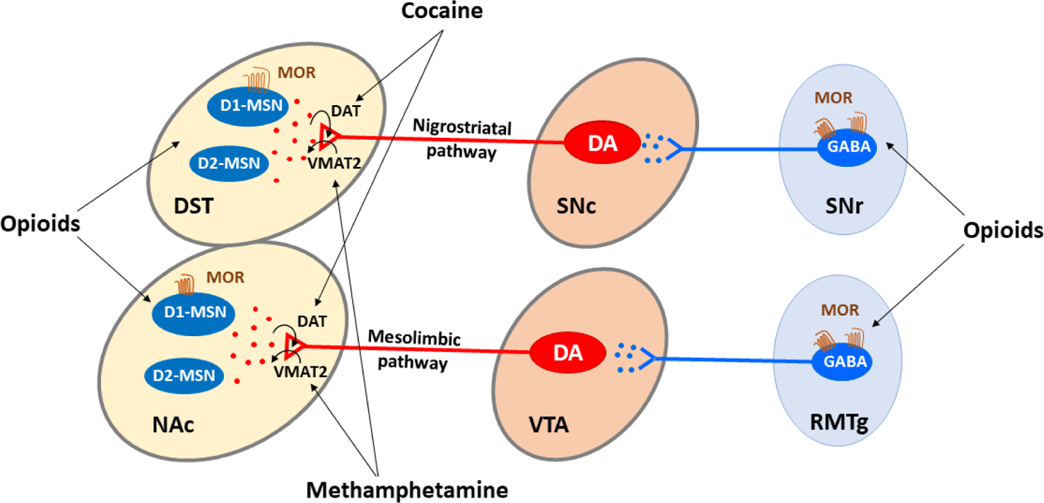 Figure 1: