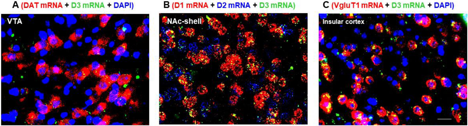 Figure 3.