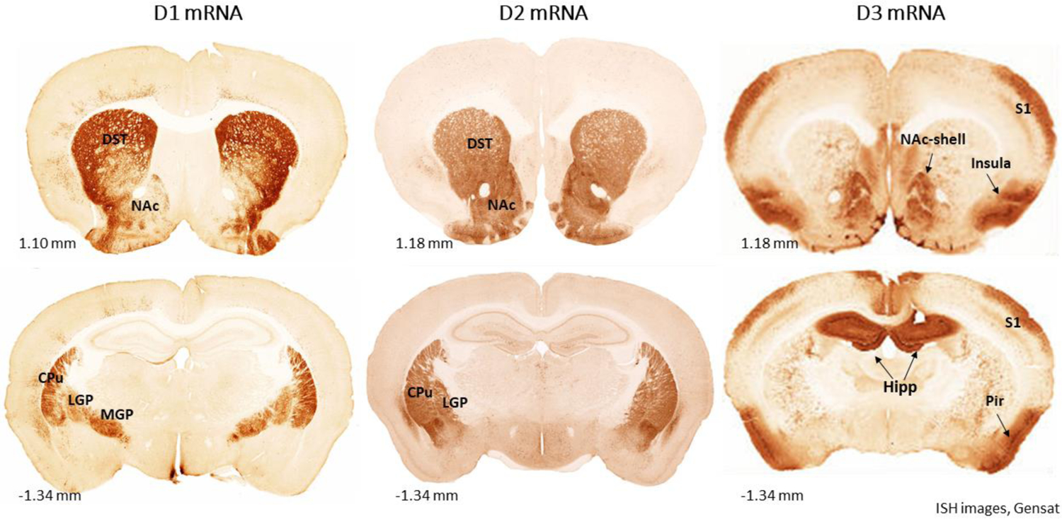 Figure 2.