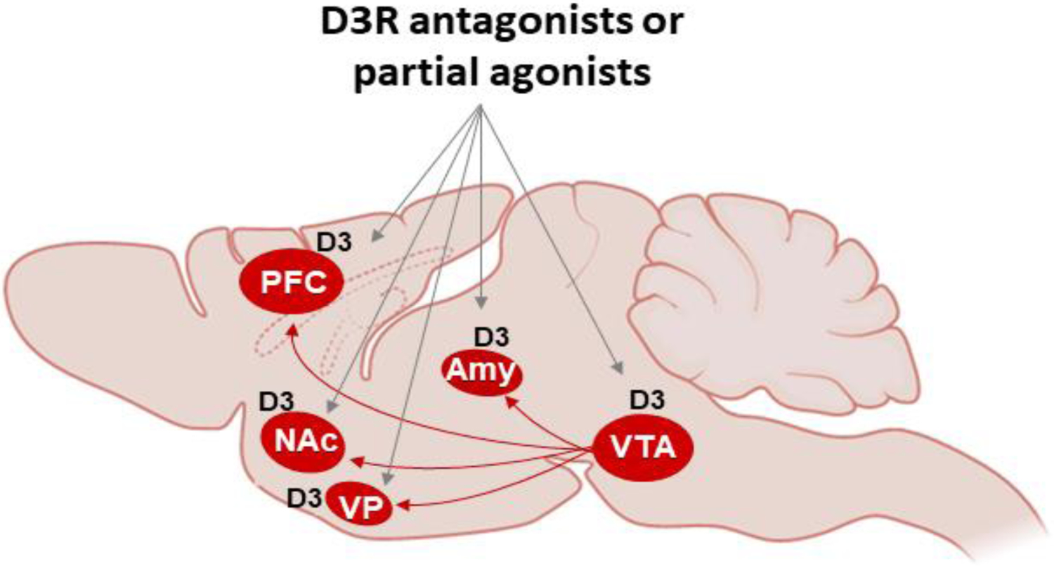 Figure 4: