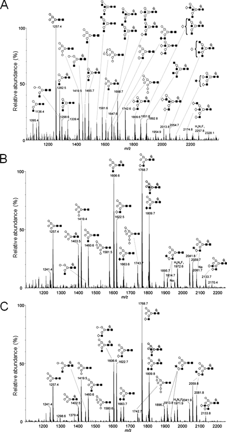 FIGURE 3.