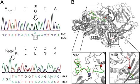 FIGURE 5.