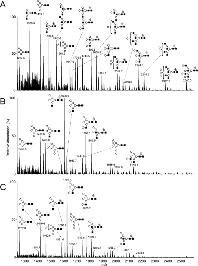 FIGURE 7.