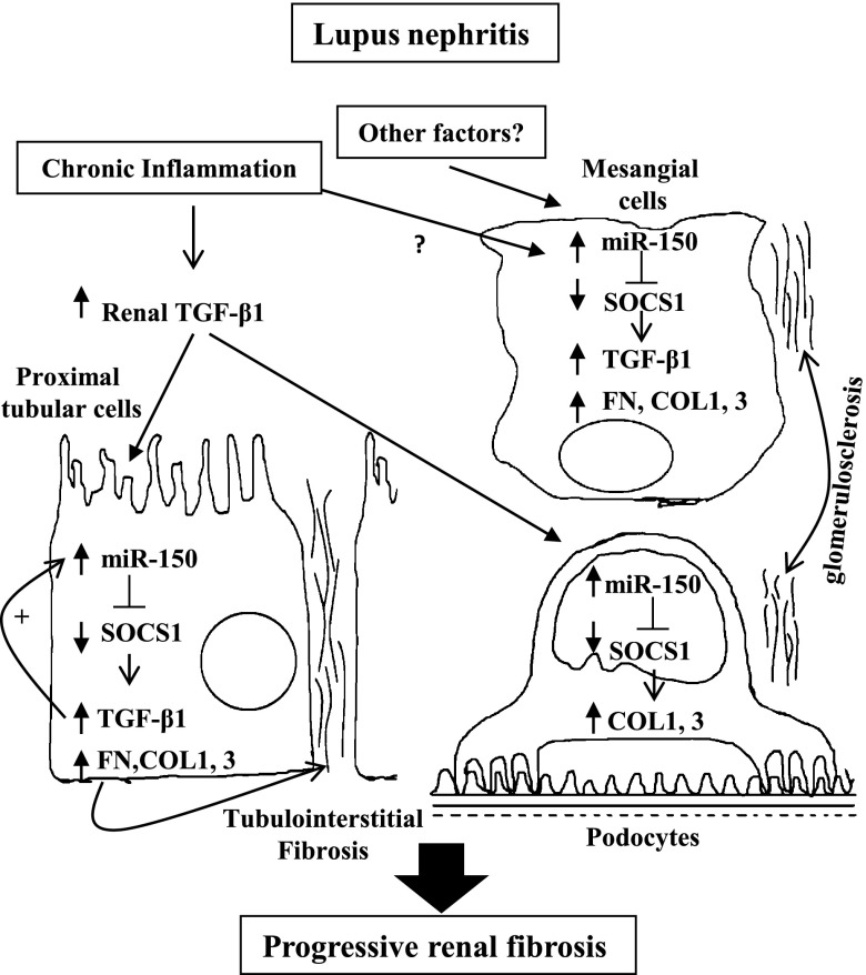 Figure 10.