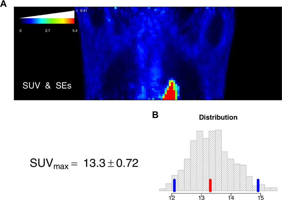 Fig. 12.