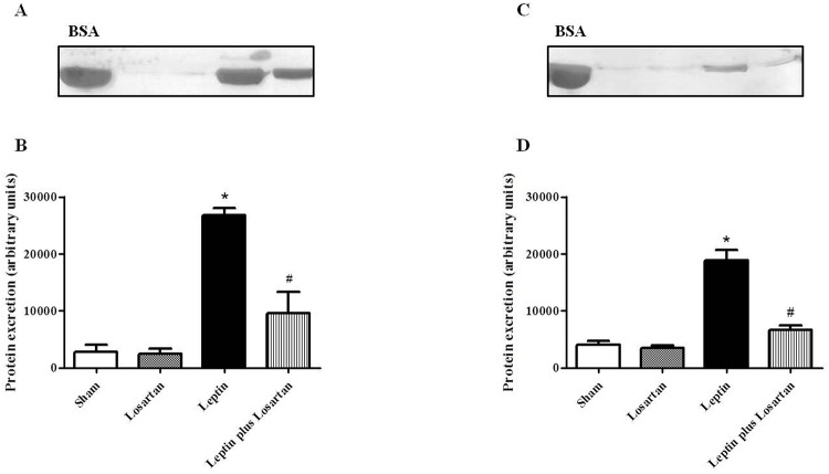 Fig 7