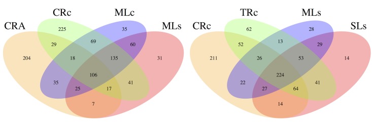 Fig 5