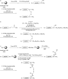 Scheme 3