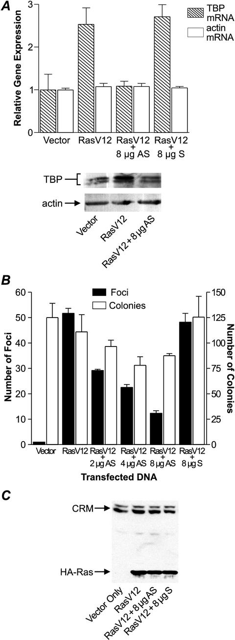 FIG.1.