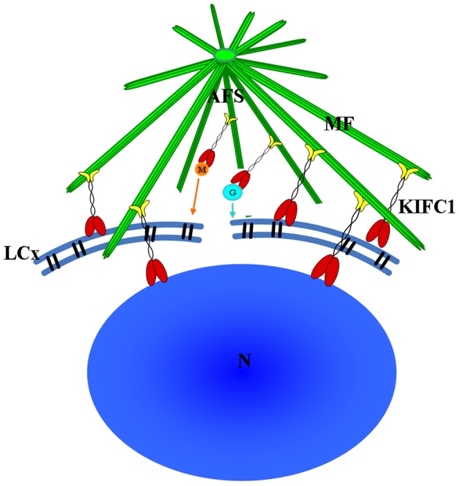 Figure 16