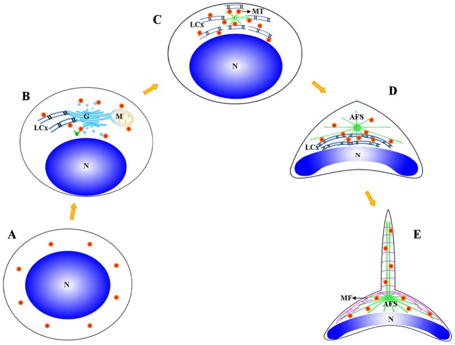 Figure 15