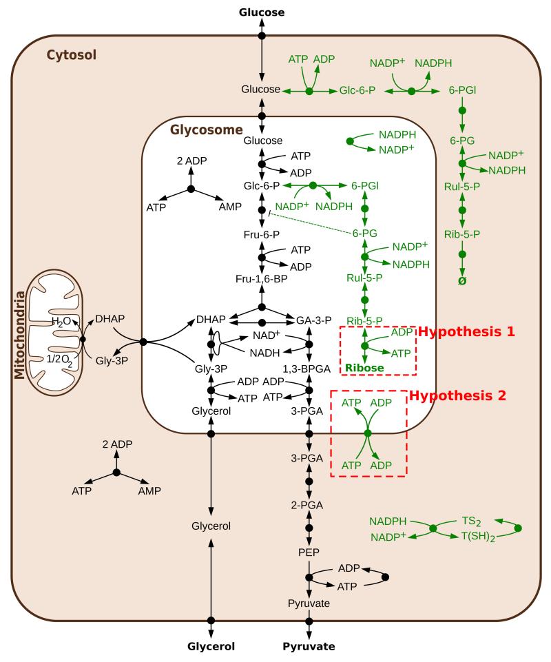 Figure 6