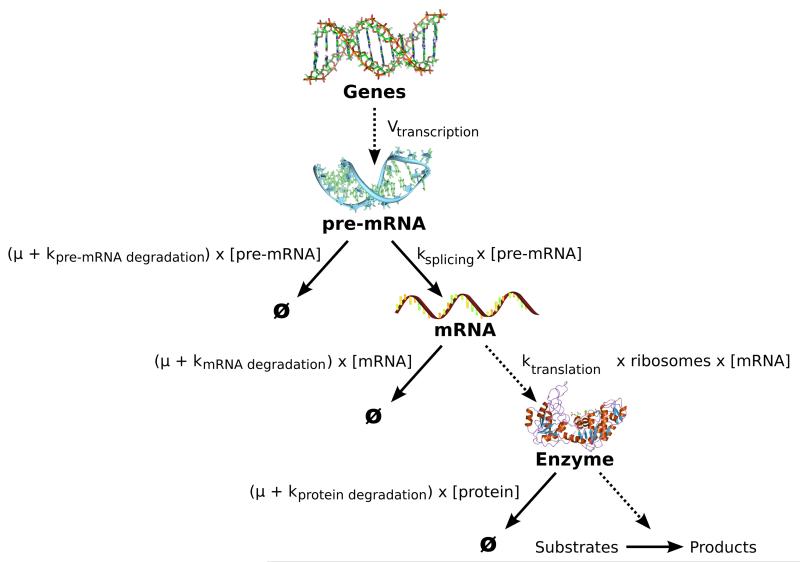 Figure 9