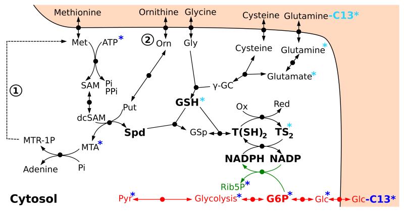 Figure 7