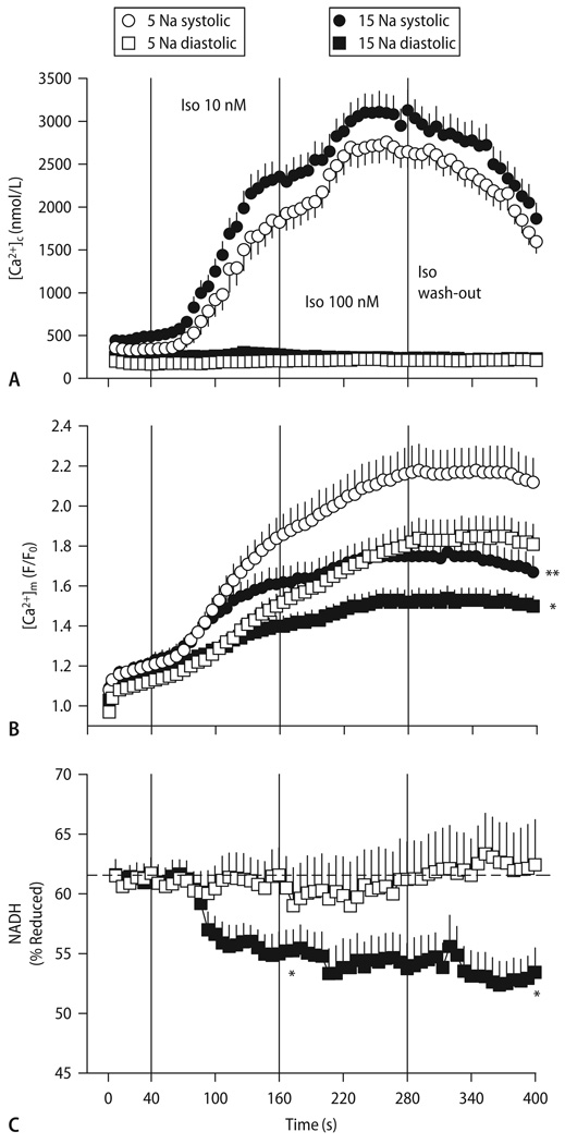 Fig. 12