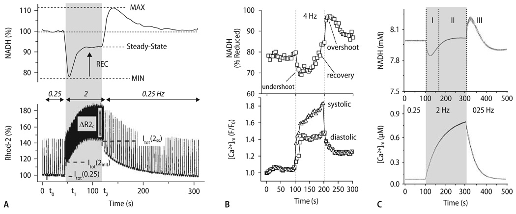 Fig. 9