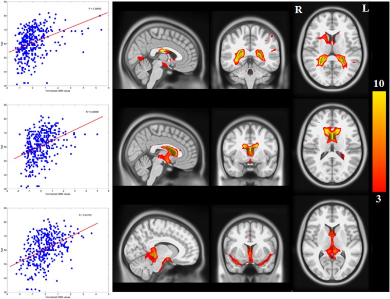 Figure 1—figure supplement 1.