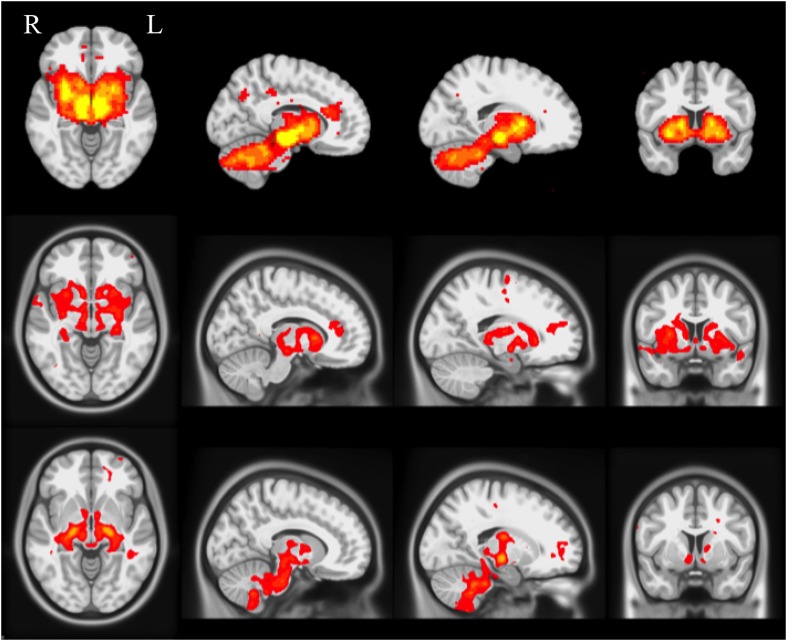 Figure 3—figure supplement 1.