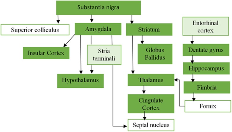 Figure 1—figure supplement 3.