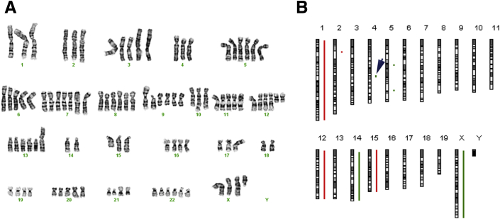 Figure 2