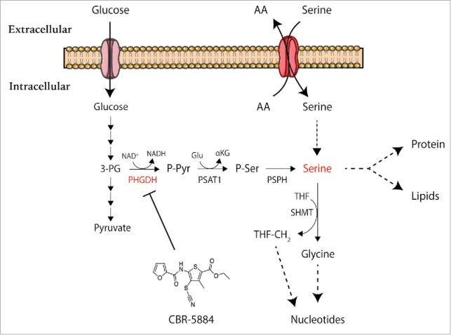 Figure 1.