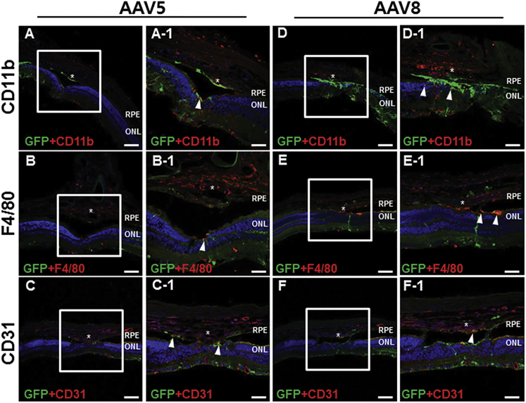 Figure 6