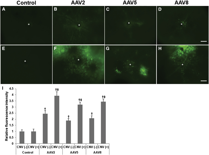 Figure 2