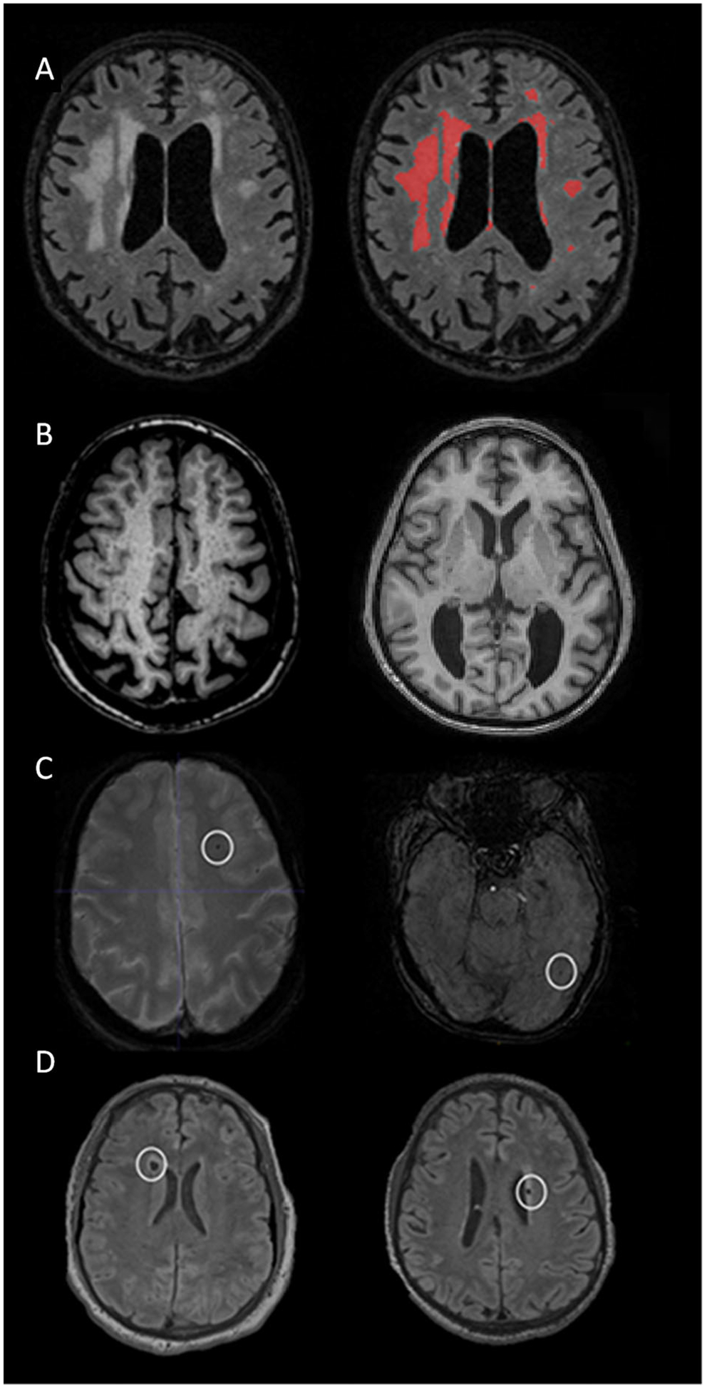 FIGURE 1: