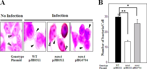 FIG. 6.