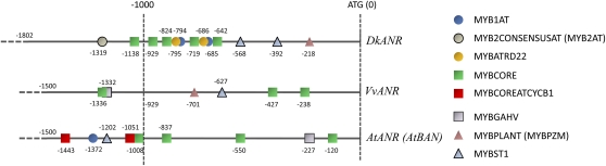 Figure 9.