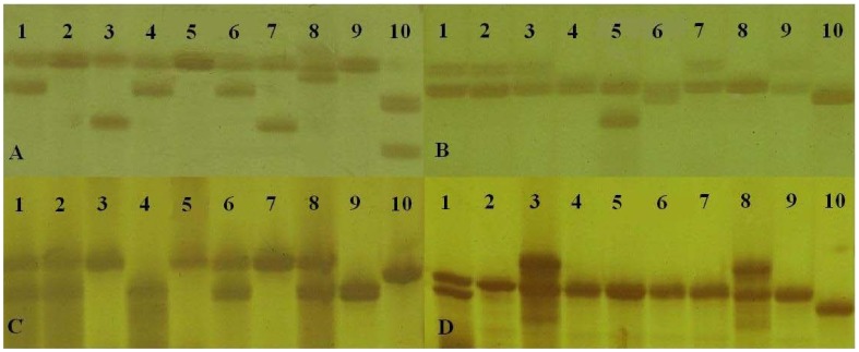 Figure 13