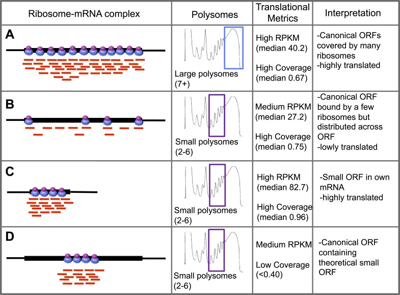 Figure 1—figure supplement 2.