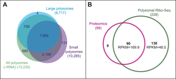 Figure 2—figure supplement 1.