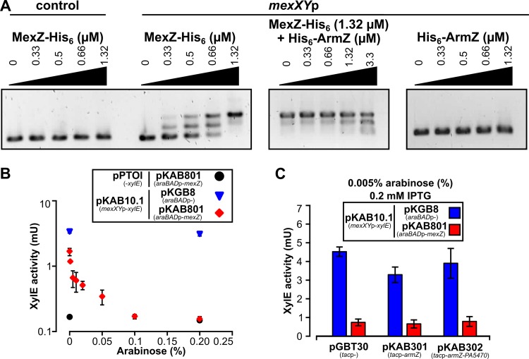 FIG 3