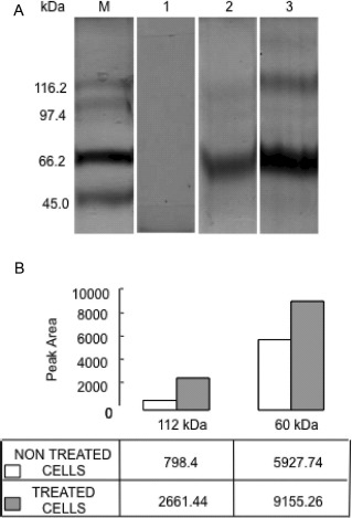 FIG. 6.