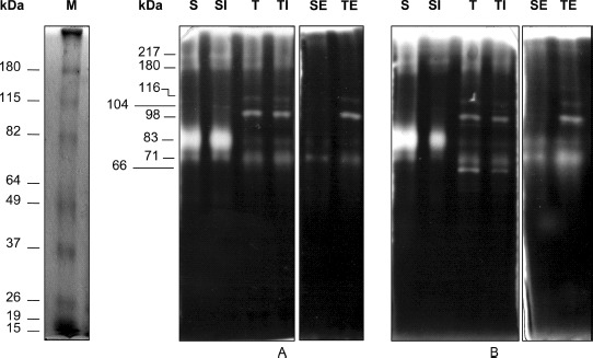 FIG. 7.