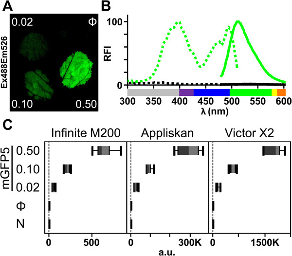 Figure 2