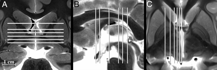 Fig 1.