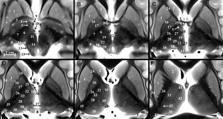 Fig 2.