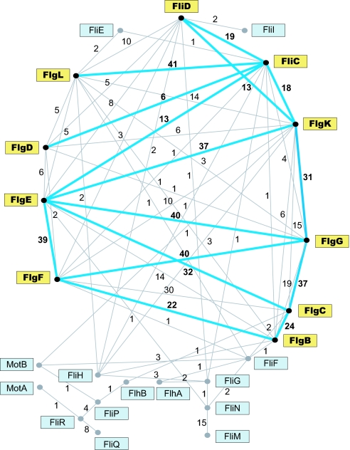 Fig. 3.