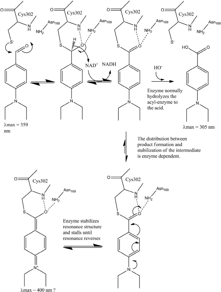 Fig. 13