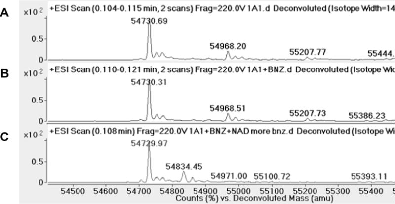 Fig. 10