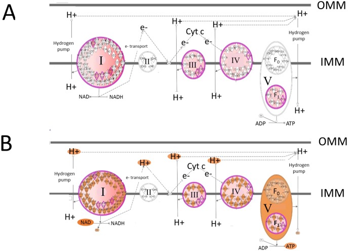 Fig 4