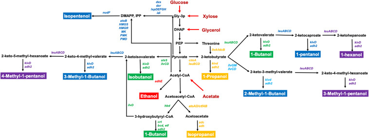 FIGURE 1
