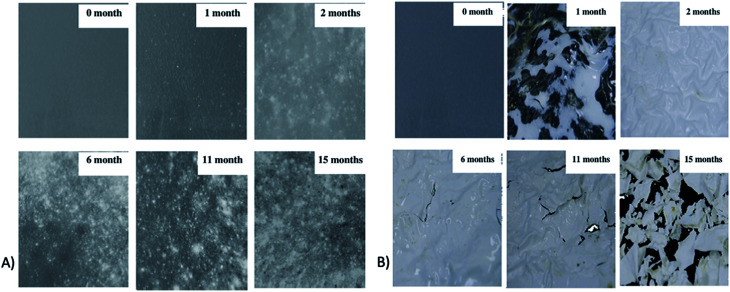 Fig. 29