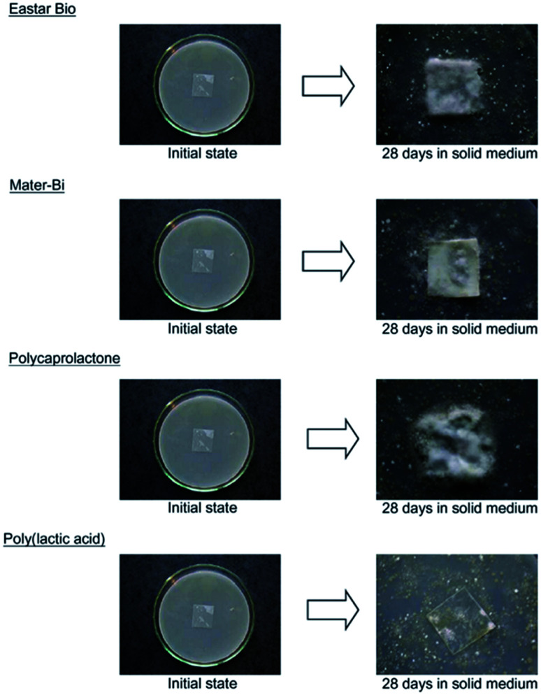 Fig. 27