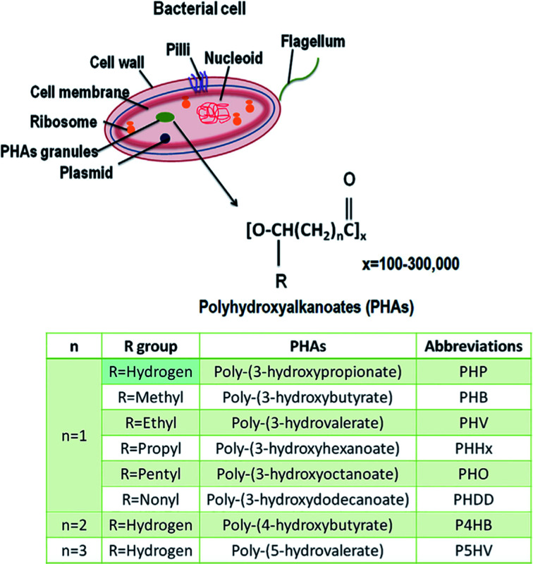 Fig. 36