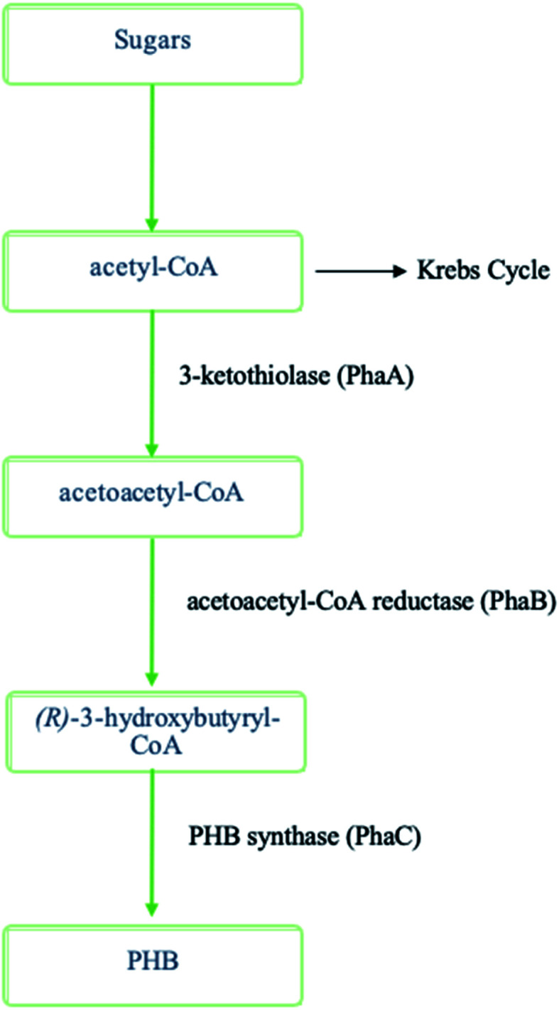 Fig. 39