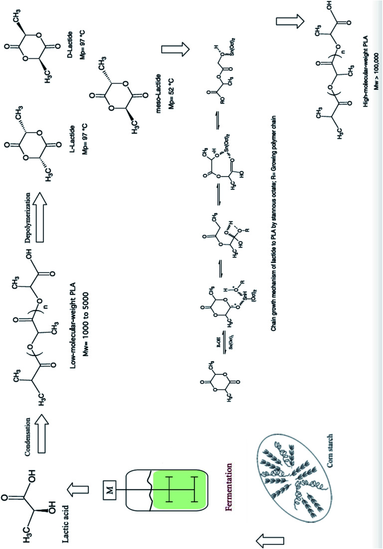 Fig. 19